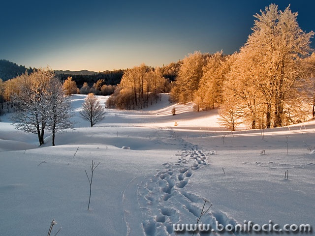 nature___Walking In My Shoes___Gorski Kotar, Croatia.