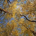 nature___Whisper___National Park Plitvice, Croatia.