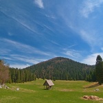 nature___Wide___National Park Risnjak, Croatia.