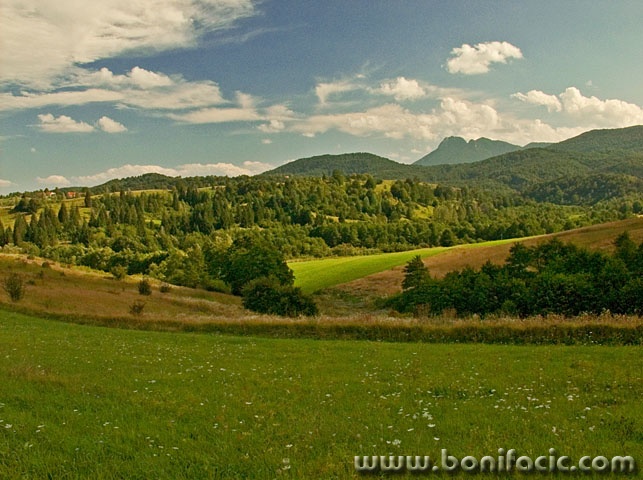 nature___Wide___Gomirje, Croatia.