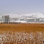 nature___Winter Harvest___Plaski, Croatia.