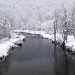 nature___Winter Scene___Luke, Croatia.