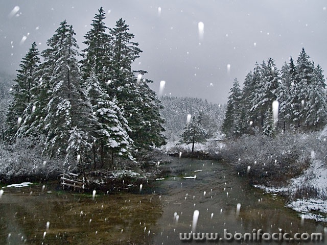 nature___Winter___Licka Jesenica, Croatia.