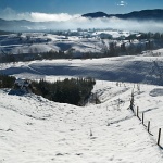 nature___Wold___Vrbovsko, Croatia.