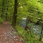 nature___Wood Paths___Zeleni Vir, Croatia.