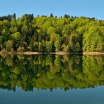 nature___Wood Reflexion___Gorski Raj, Croatia.