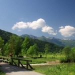nature___Wooden Bridge___Bohinj, Slovenia.