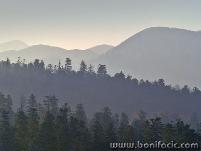 nature___Woods___Gorski Kotar, Croatia.