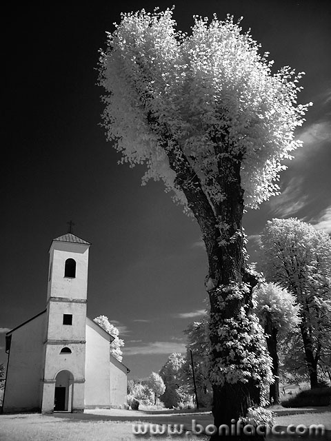 cerovnik1_mal