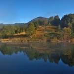 panomrzlavodicaNEWmal