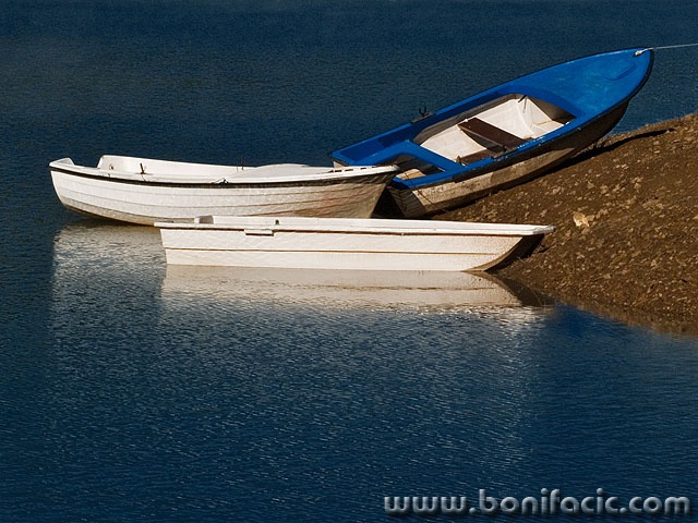 lokvebarke1mal