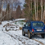 nivagorskikotarsuma1mal