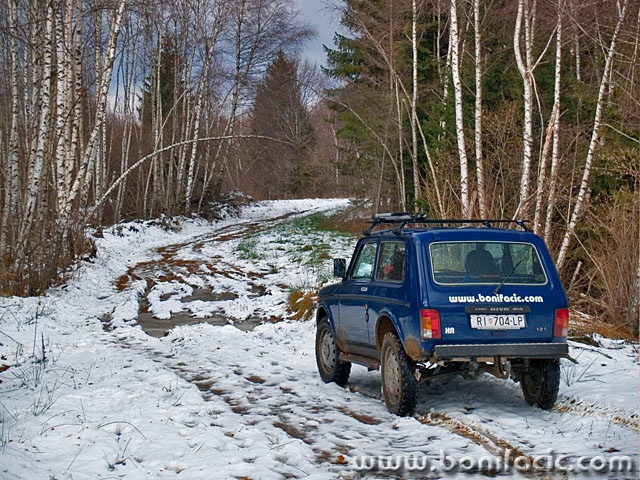 nivagorskikotarsuma1mal