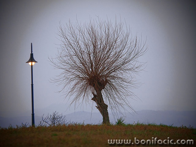 stablolampa1mal