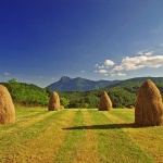 nature___Stacks___Gomirje, Croatia.
