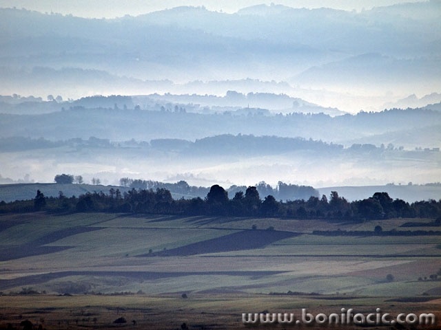 lickopoetrovoselo1mal