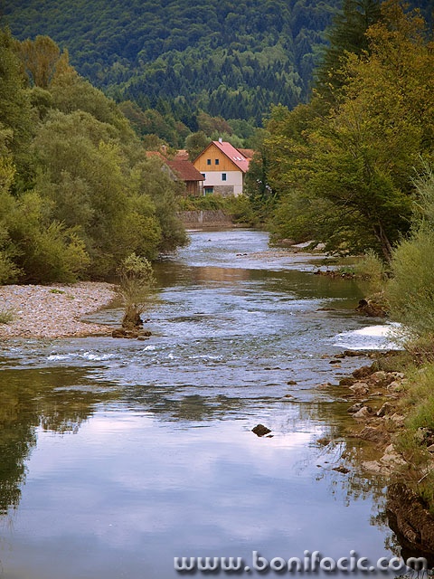 kupa4mal