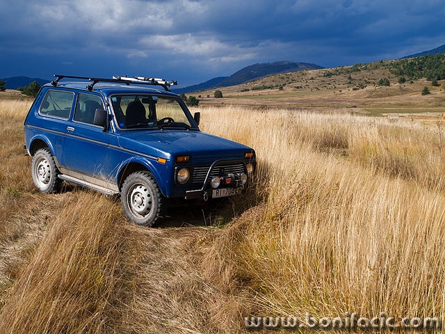 niva1mal