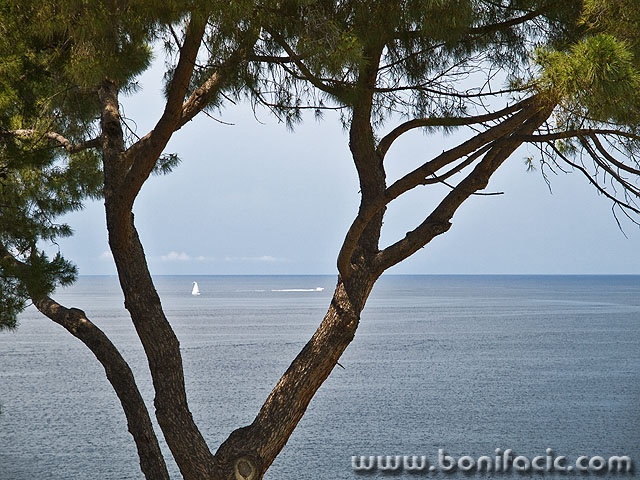 rovinj2mal