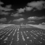 krumpirdreznicababa1mal