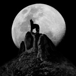 zirmisecvukmod1demo1mal