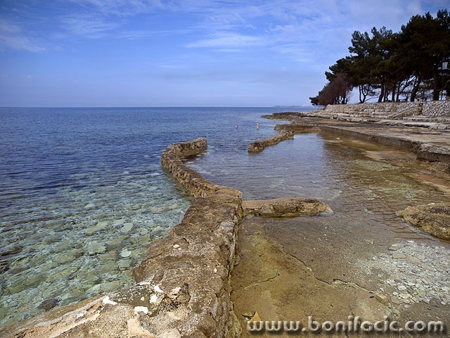 lovrecica (1)