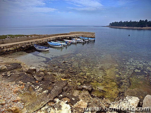 svivan (1)