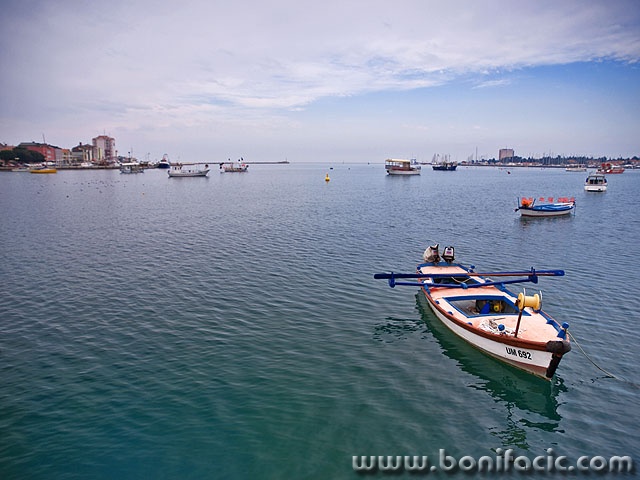 umag (1)