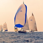 regata31mal