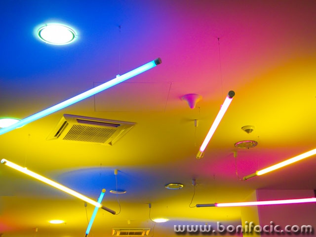 neon1mal