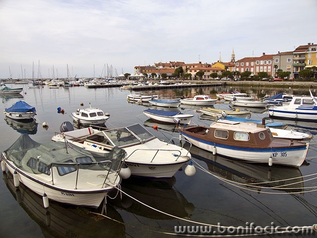 izola3mal