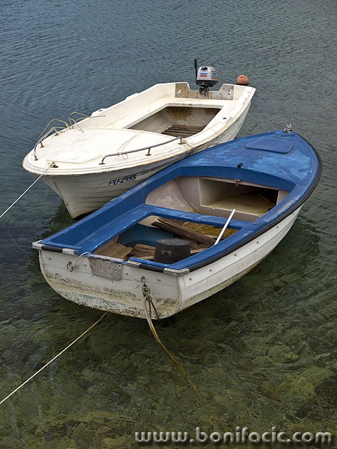 pjescanauvala1mal