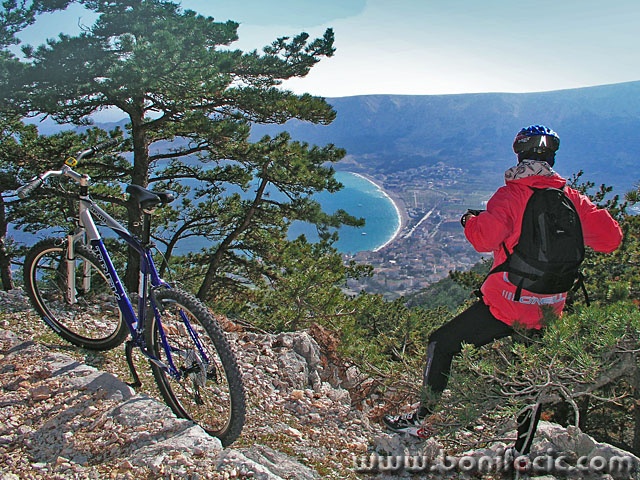 mtb1mal