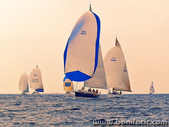 regata31mal