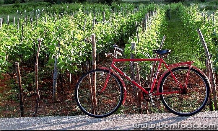 stilllife___Red Bike___Baska, Croatia.