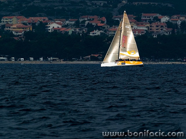 regata43mal