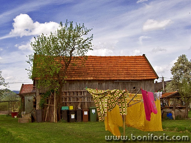 cerovnik12mal