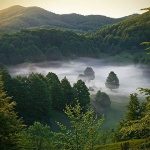 gornjejejelenje1fmal