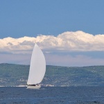 regata83mal