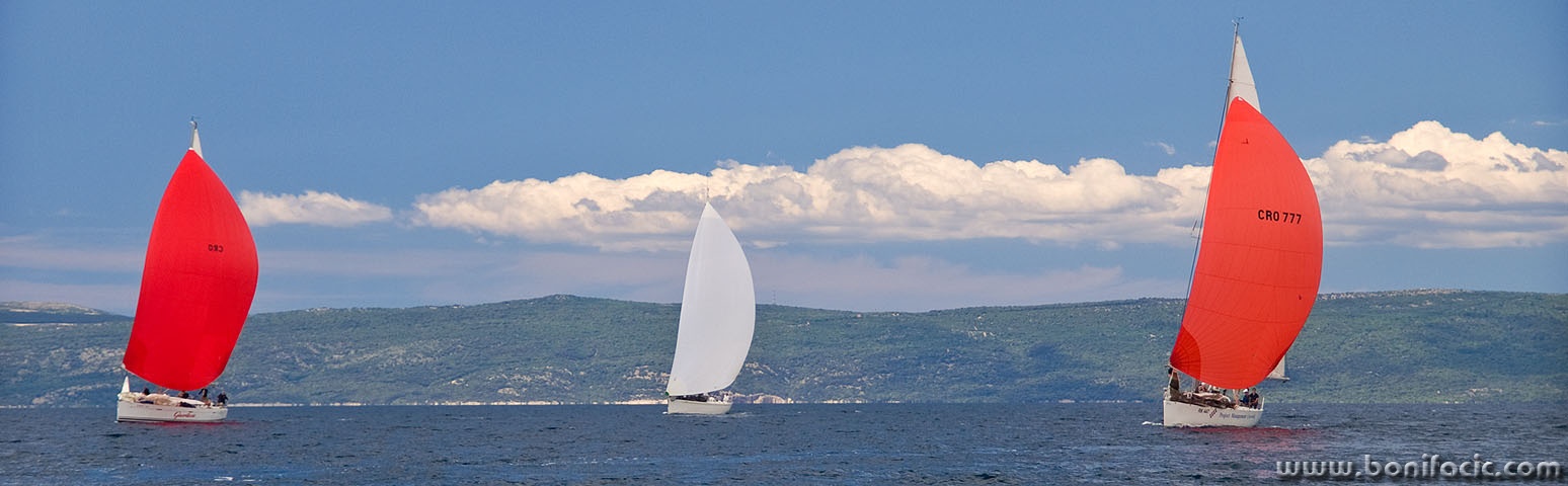 regata83mal