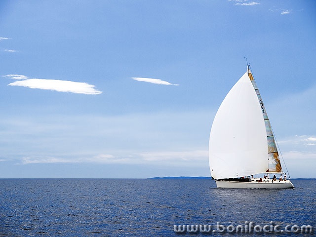 regata59mal