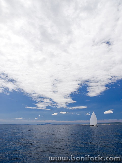 regata60mal