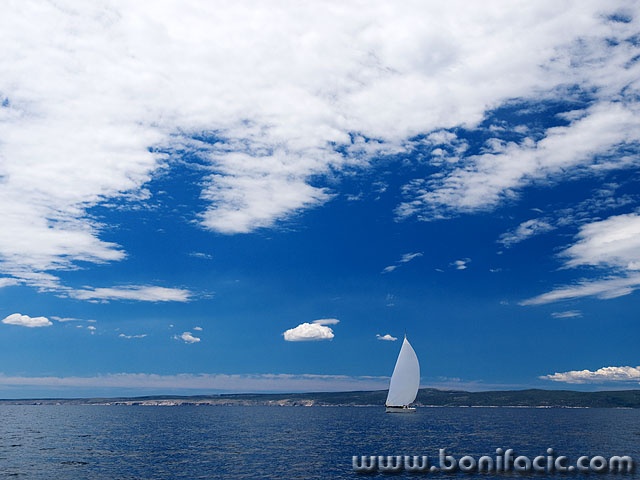 regata61mal