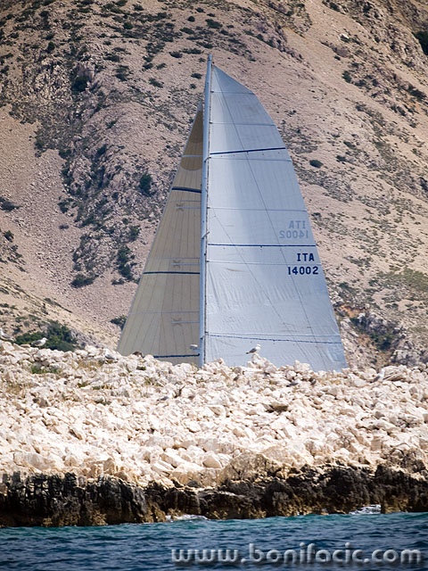 regata102mal