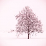 digital___Dreamy___Cakovac, Croatia.