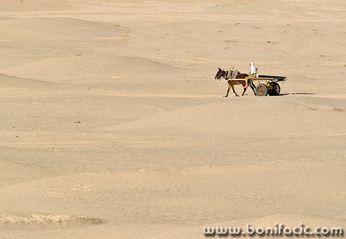 travel___Bushranger___Sahara, Tunisia.