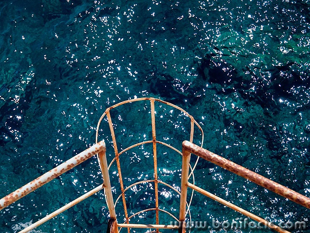 losinj8mal