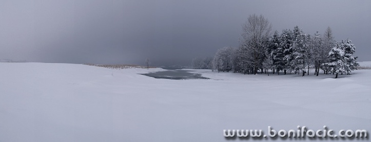 panorama___Frozen Trees___Ogulin, Croatia.