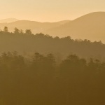 panorama___Golden Morning___Gorski Kotar, Croatia.