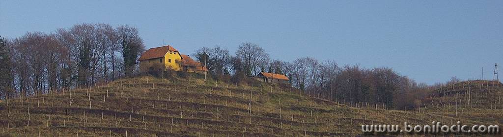 panorama___Grape-Grover___Slovenia.